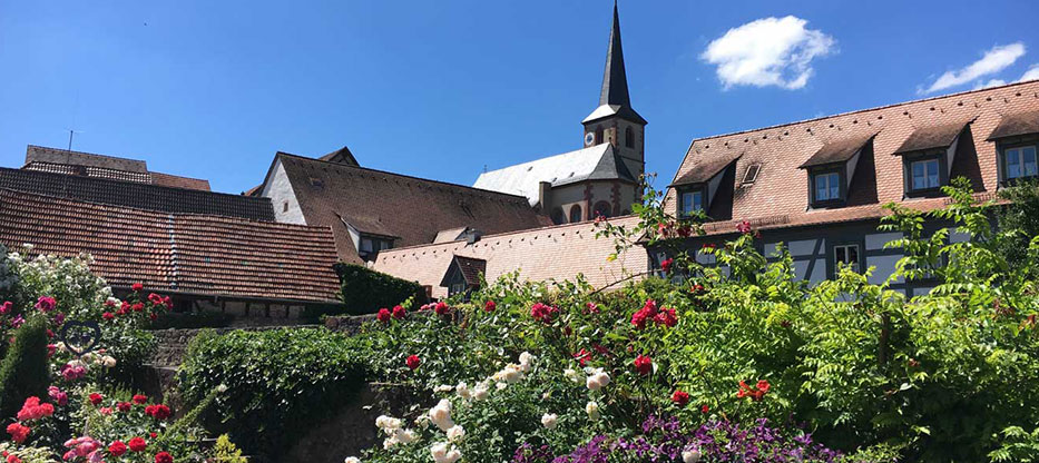 Gartenerlebnis-Bayern-Ulrike-Faust-Clematisdorf-Erlabrunn-Event-Oeffentliche-Fuehrung-5