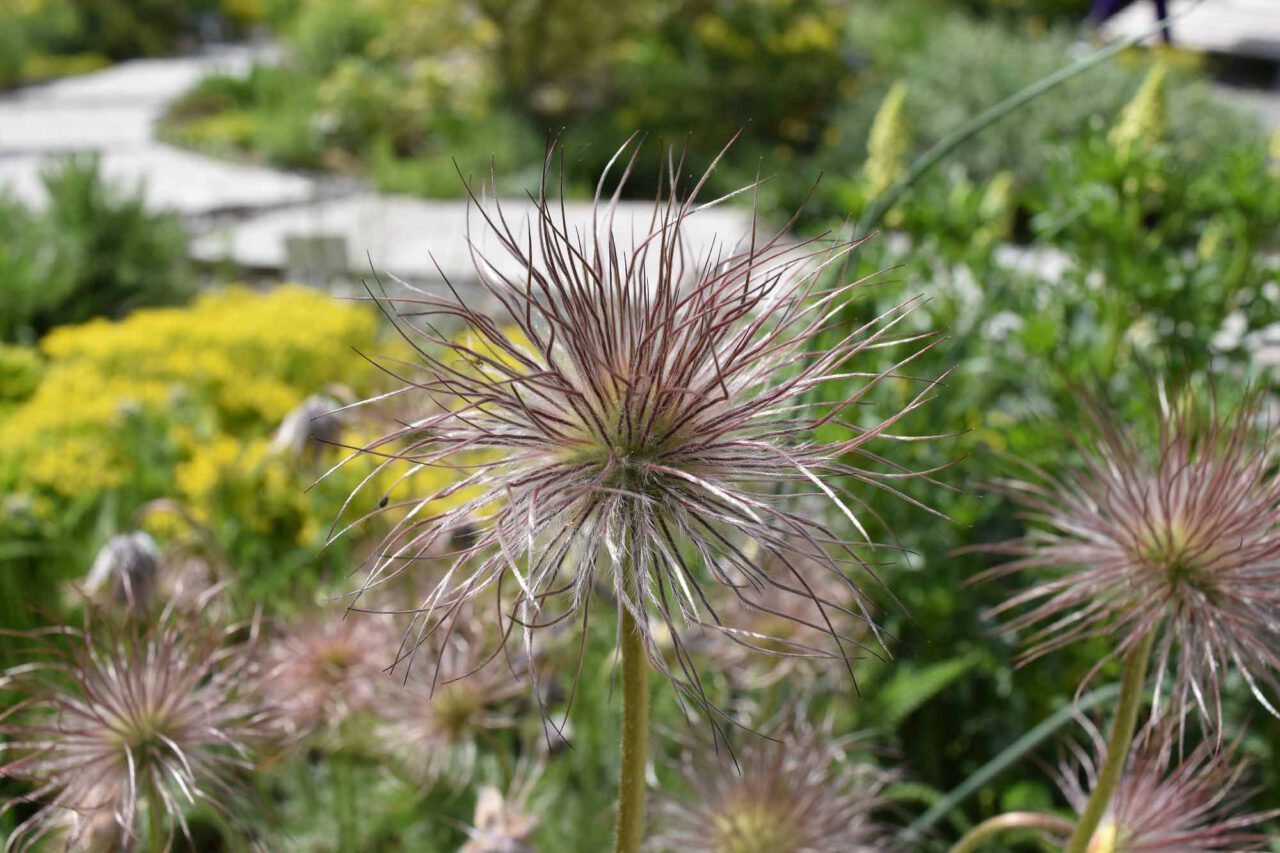Unterfranken Archive Gästeführer Gartenerlebnis Bayern